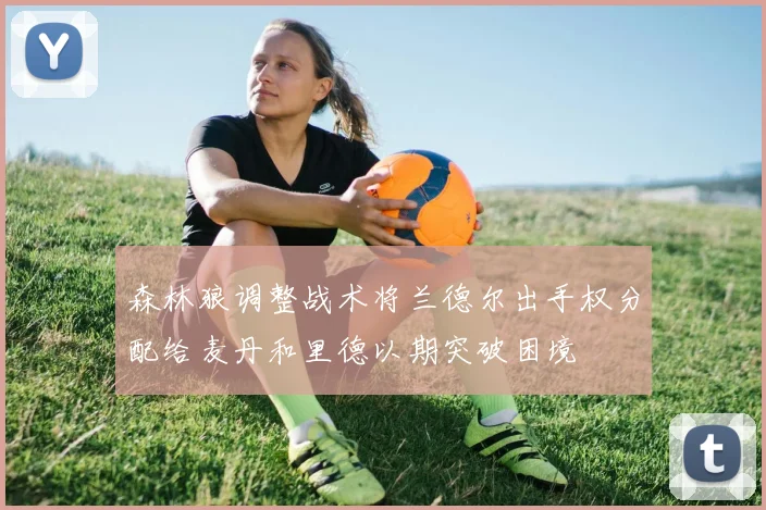 森林狼调整战术将兰德尔出手权分配给麦丹和里德以期突破困境